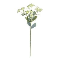 18.5" Euphorbia Floral Stems, 6ct.