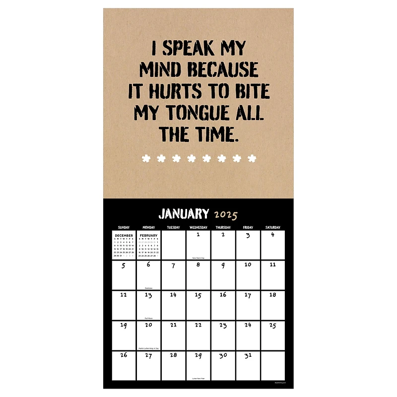TF Publishing 2025 Anti-Affirmations Wall Calendar