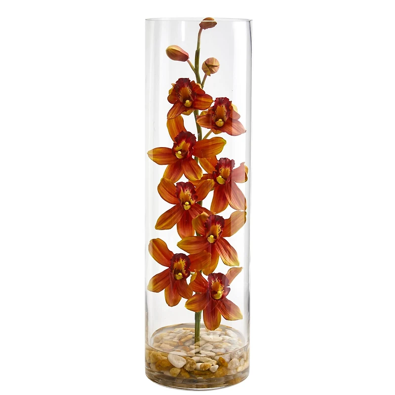 20" Burgundy Cymbidium Orchid Arrangement in Cylinder Vase