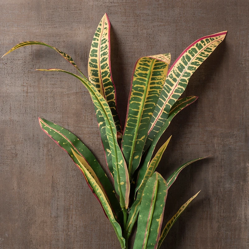 Green & Yellow Croton Fall Stem by Ashland®