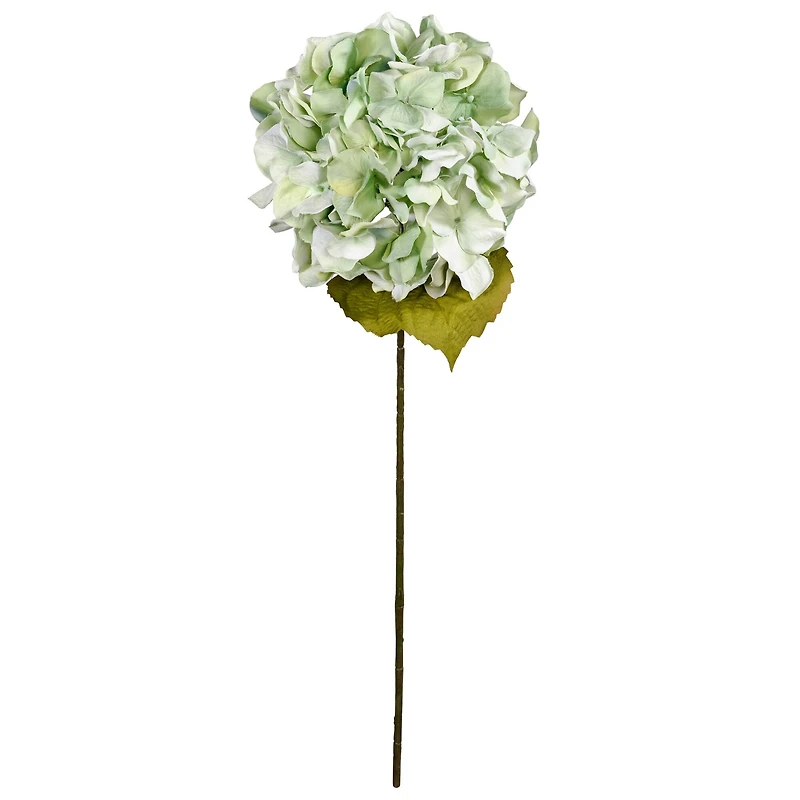 12 Pack: Seafoam Green Hydrangea Stem by Ashland®