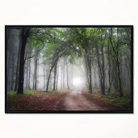 Designart - Light Through Green Fall Forest