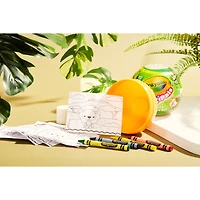 Crayola® ImagiPals® Animal Kingdom Surprise Ball