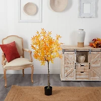 4ft. Potted Yellow Autumn Maple Tree