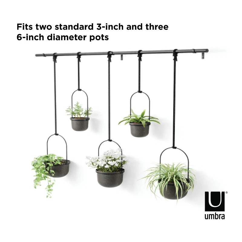 Umbra Black Triflora Hanging Planter Set