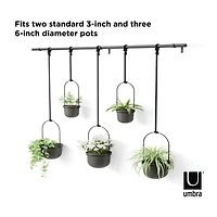 Umbra Black Triflora Hanging Planter Set