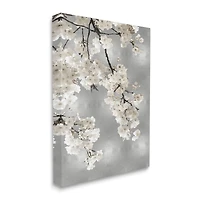 Stupell Industries Spring Blossoms White Flowers Tree Branch Canvas Wall Art