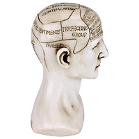 Design Toscano 6" Phrenology the Science of the Brain Victorian Replica Statue
