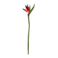12 Pack: Tropical Bird of Paradise Stem by Ashland®