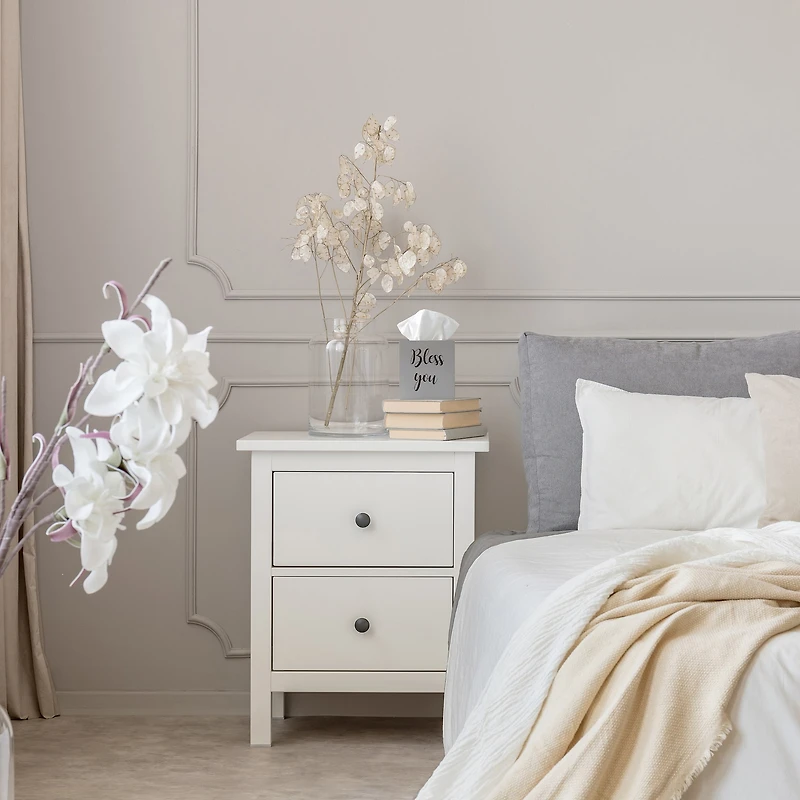 Elegant Designs Bless You Tissue Box Cover