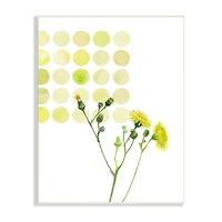 Stupell Industries Dandelion Flowers under Abstract Summer Circles Floral Painting Wall Plaque