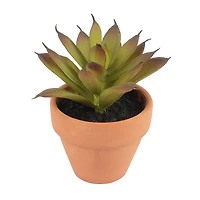 Mini Premade Succulents in Terra Cotta Pots