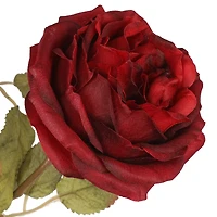 20" Deluxe Burgundy Rose Bush by Ashland®