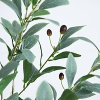 6ft. Pre-Lit Artificial Fruiting Olive Tree with Warm White LED Lights