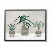 Stupell Industries Plants In Patterned Pots Neutral Grey Design in Black Frame Wall Art
