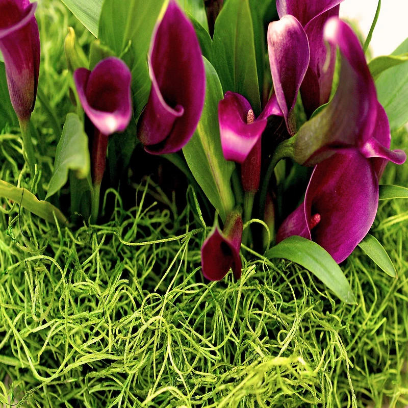 SuperMoss® Preserved Spanish Moss, Grass Green