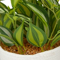 The Novogratz 16" Potted Green Rattan Coastal Artificial Foliage