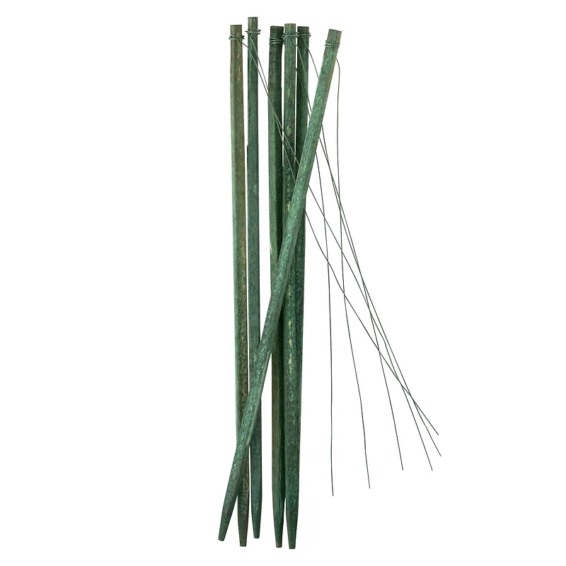 12 Pack: 6" Wired Wood Picks by Ashland™