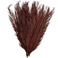 43" Natural Dried Plant Palm Leaf Bunch with Feather-Inspired Stems