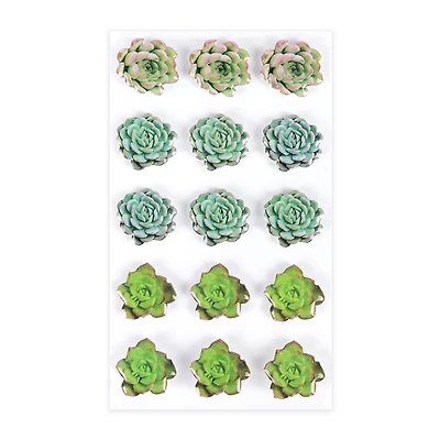Succulent Stickers by Recollections™