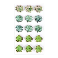 Succulent Stickers by Recollections™