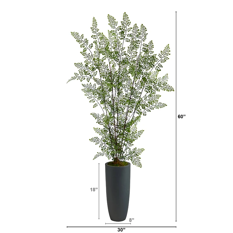 5ft. Ruffle Fern Tree in Gray Planter