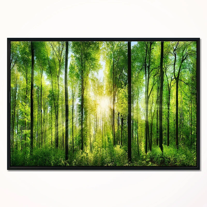 Designart - Forest with Rays of Sun Panorama