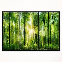 Designart - Forest with Rays of Sun Panorama