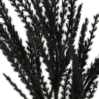 31" Black Pampas Grass Stem by Ashland®