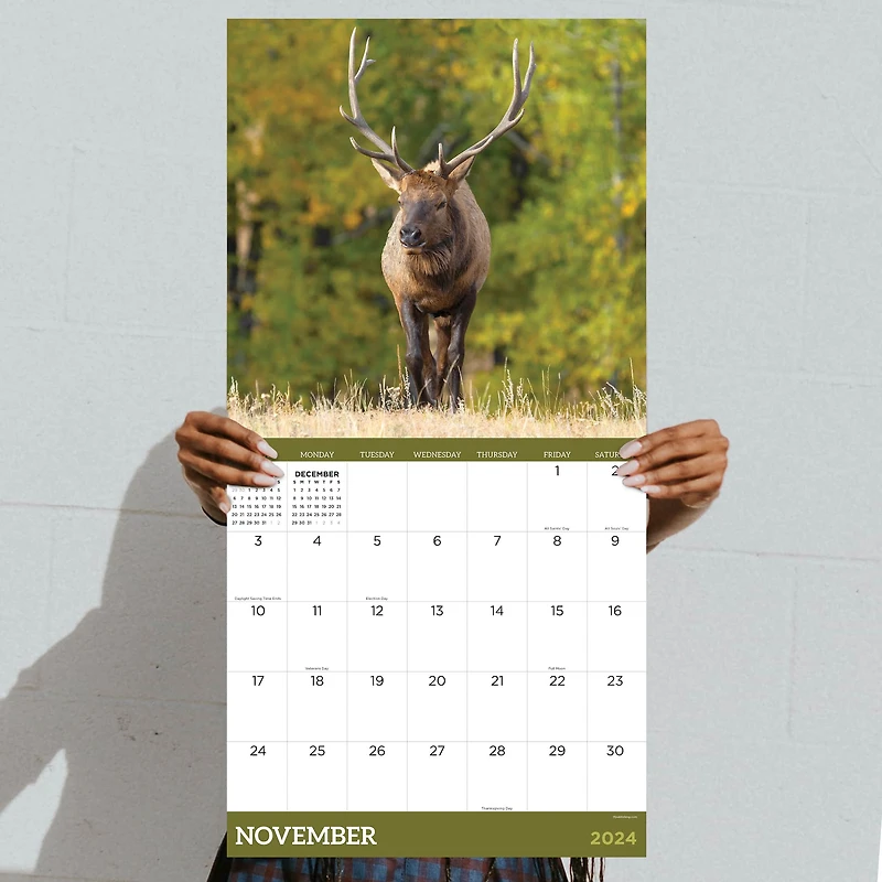 TF Publishing 2024 Deer Wall Calendar
