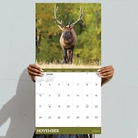 TF Publishing 2024 Deer Wall Calendar