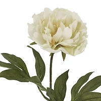 28" White Peony Stem by Ashland®