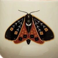 Hello Honey® 12oz. Stoneware Mugs with Painted Winged Insects Set