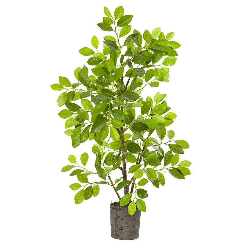 3ft. Ficus Tree in Faux Concrete Planter