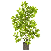 3ft. Ficus Tree in Faux Concrete Planter