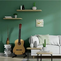 Stupell Industries Close-Up Petals Wooden Wall Plaque