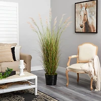 6ft. Grass Plant in Black Tin Planter