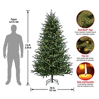 7.5ft. Pre-Lit Wenatchee Fir Artificial Christmas Tree, Warm White LED Lights