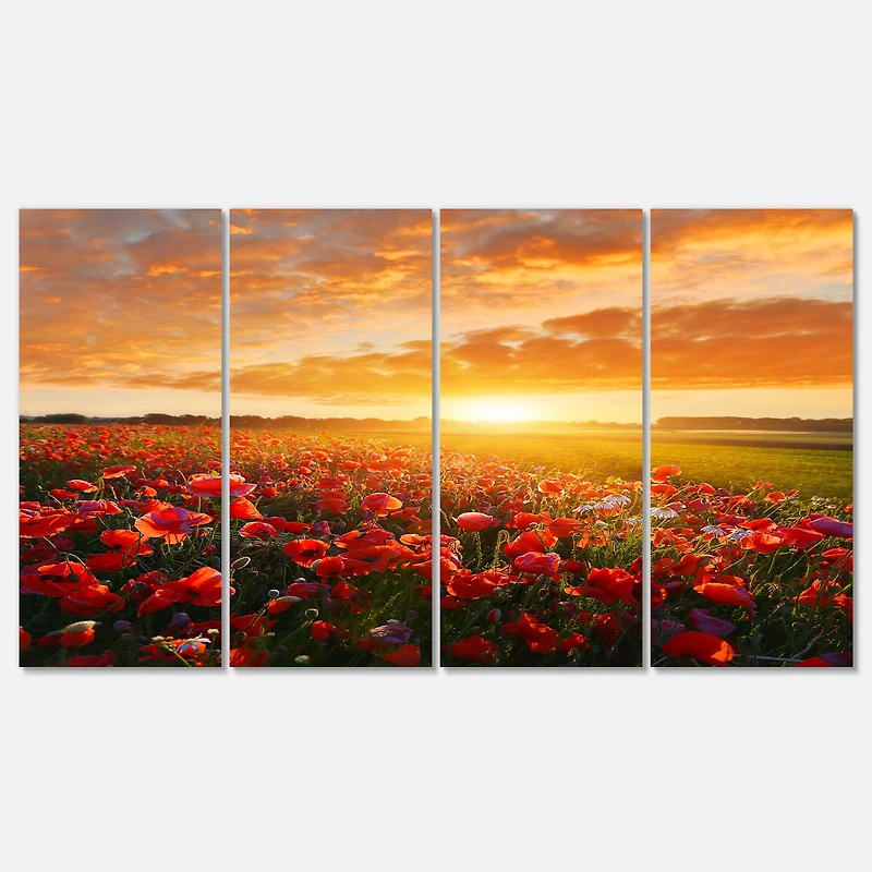 Designart - Beautiful Poppy Field at Sunset