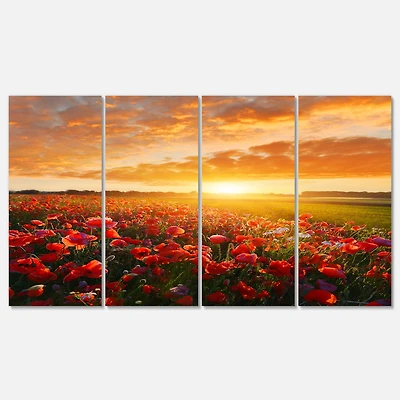 Designart - Beautiful Poppy Field at Sunset