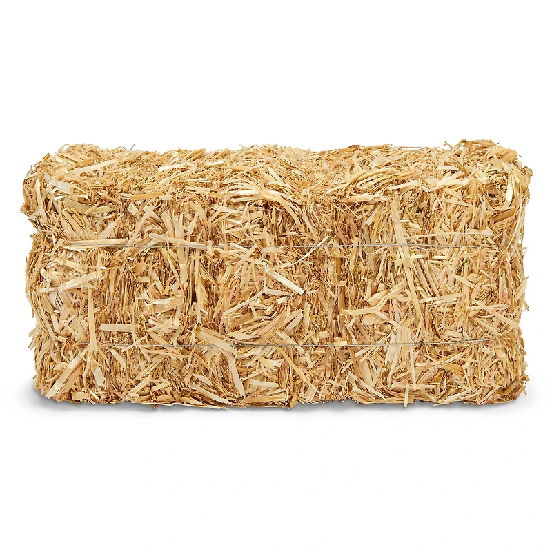 12 Pack: 13" Decorative Straw Bale by Ashland®