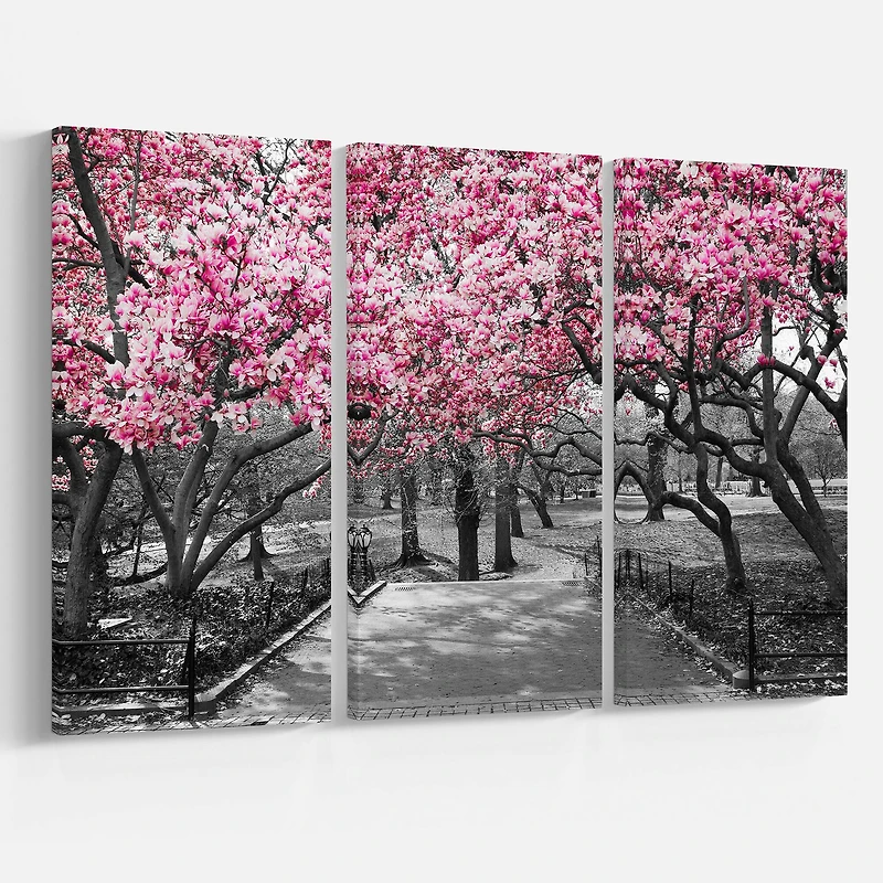 Designart Photographic Floral Cherry Blossoms Landscapes On Wrapped Canvas Set