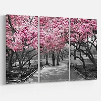 Designart Photographic Floral Cherry Blossoms Landscapes On Wrapped Canvas Set