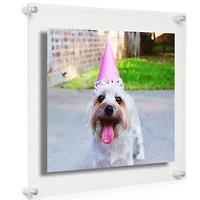 Cool Modern Frames 2 Pack Clear Acrylic Float Frame with Silver Hardware