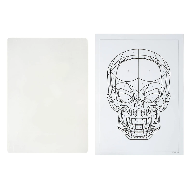 Skull Paint-by-Number Acrylic Surface Kit by Artist's Loft®
