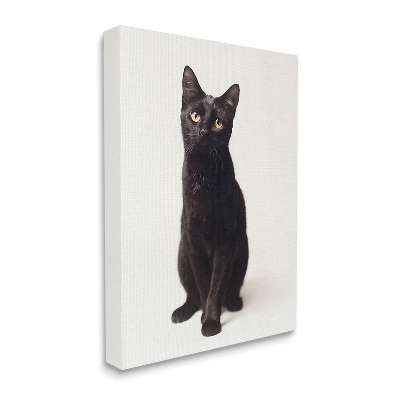 Stupell Industries Cute Black Cat Expressive Eyes Pet Portrait Canvas Wall Art