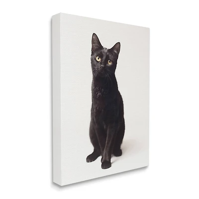 Stupell Industries Cute Black Cat Expressive Eyes Pet Portrait Canvas Wall Art