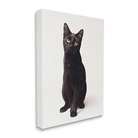 Stupell Industries Cute Black Cat Expressive Eyes Pet Portrait Canvas Wall Art