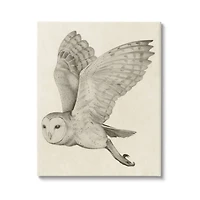 Stupell Industries Flying Barn Owl Wings Detailed Drawing Canvas Wall Art