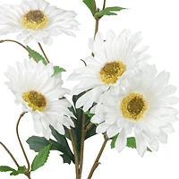 White Daisy Stem by Ashland®